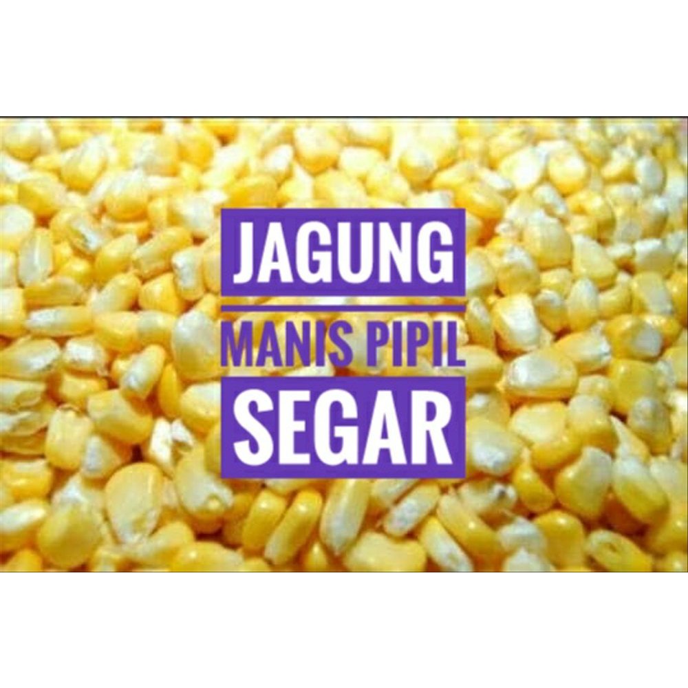 Jagung Manis Pipil (Sweet Corn) Jasuke Kemasan 1 Kg 1Kg