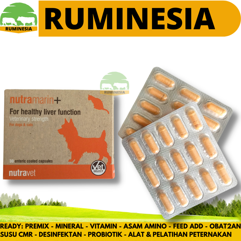 NUTRAMARIN PLUS 1 KAPSUL - Obat Gangguan Liver Hati untuk Kucing & Anjing / Pengganti Samylin & Zent