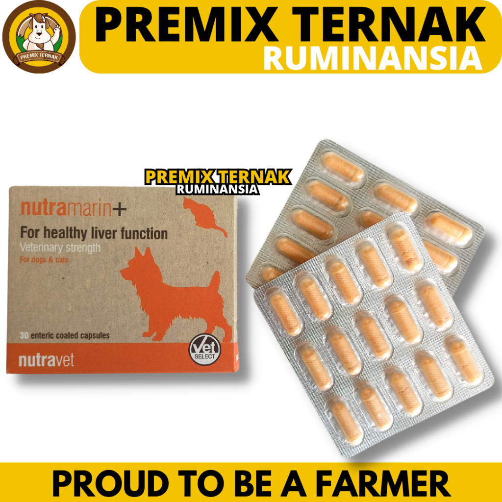 NUTRAMARIN PLUS 1 KAPSUL - Obat Gangguan Liver Hati untuk Kucing & Anjing / Pengganti Samylin & Zent