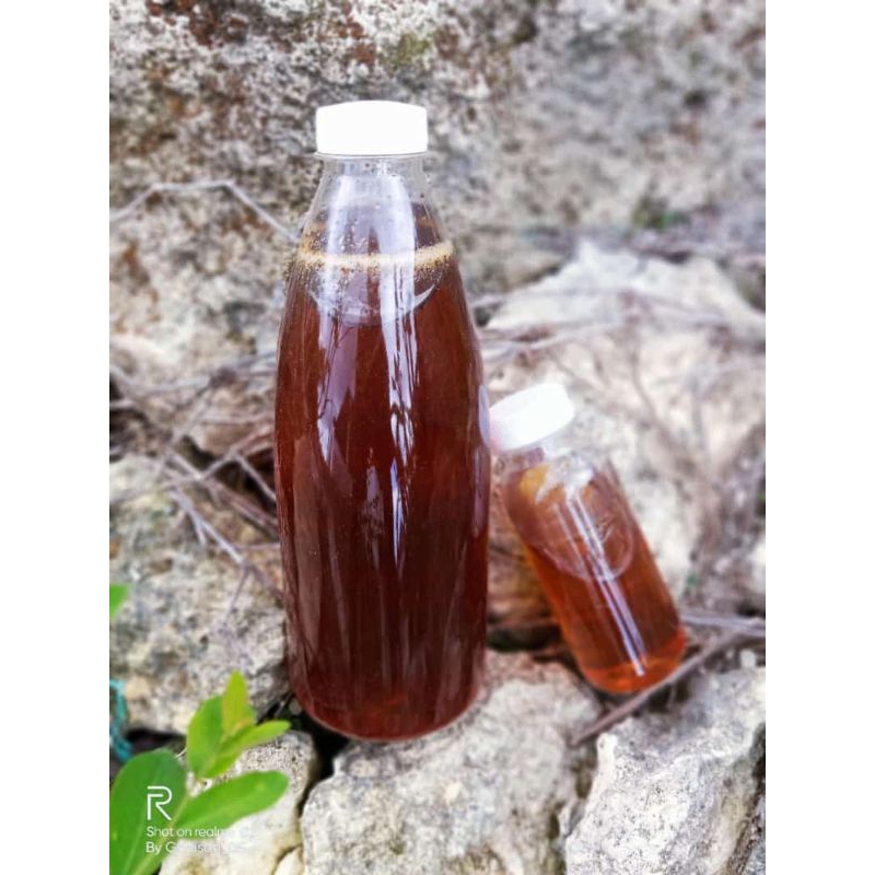 

Madu Mellifera Murni Asli madu lebah Apis Mellifera