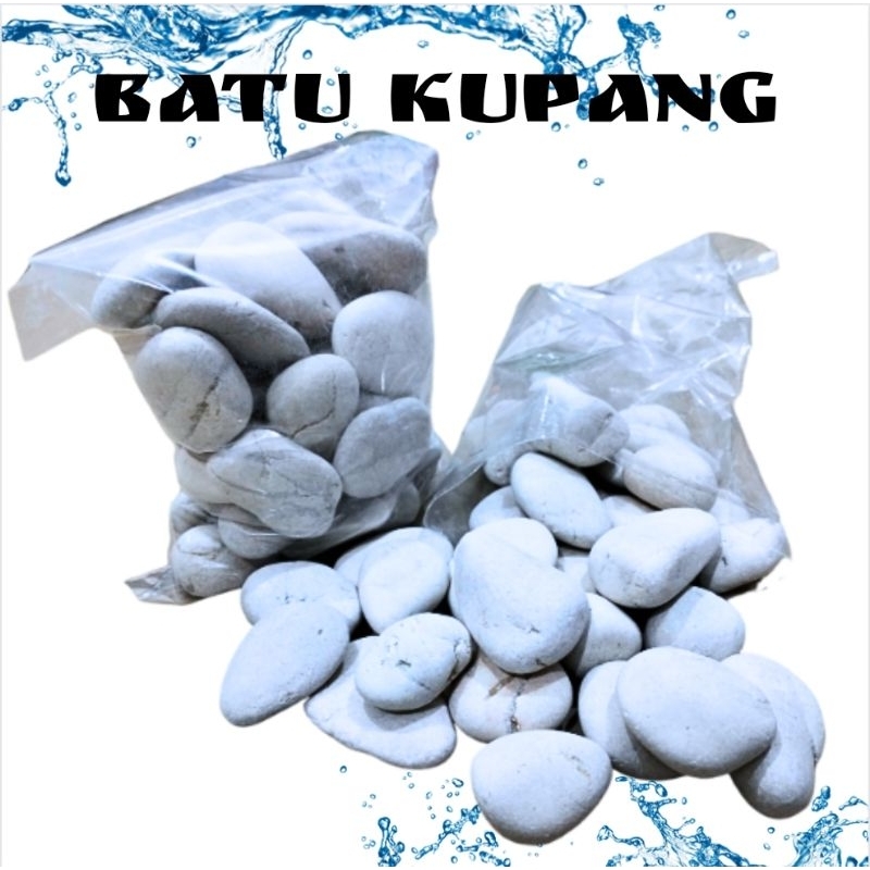 BATU KUPANG PUTIH BATU HIAS DEKORASI KOLAM AQUARIUM