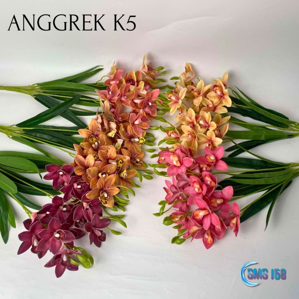 Bunga Anggrek K5 Cymbidium Semi Latex