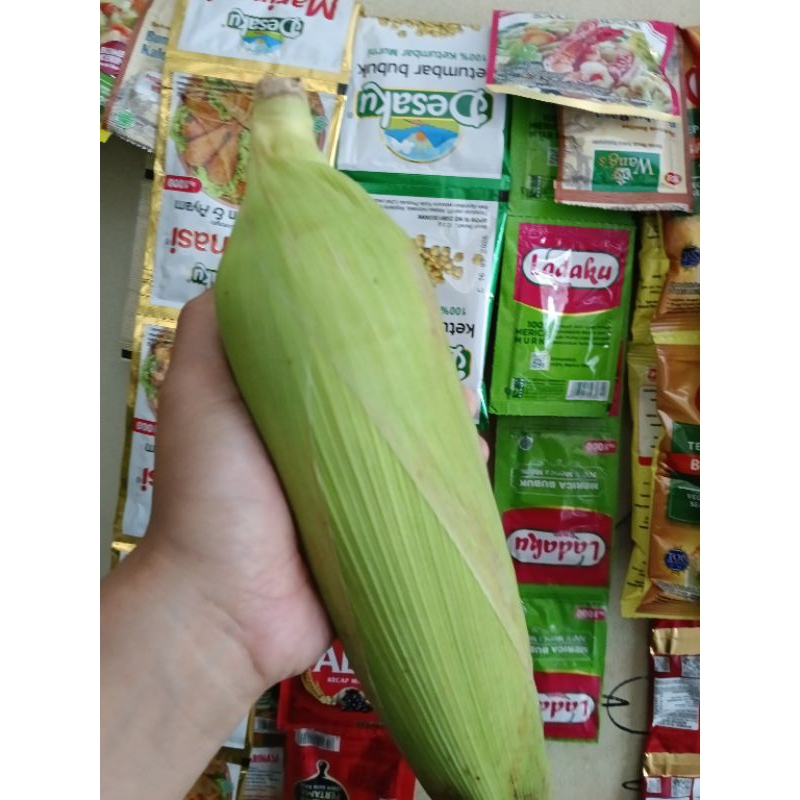 

jagung