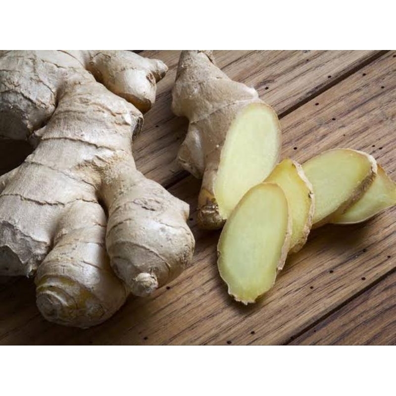 

Temu Putih Segar 1kg Temulawak Putih