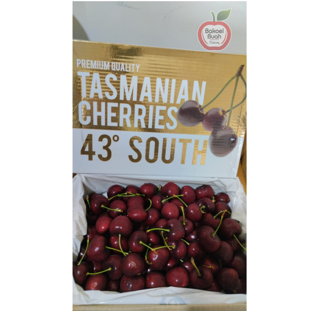 

Cherry Tasmanian sz 32-34 /dos
