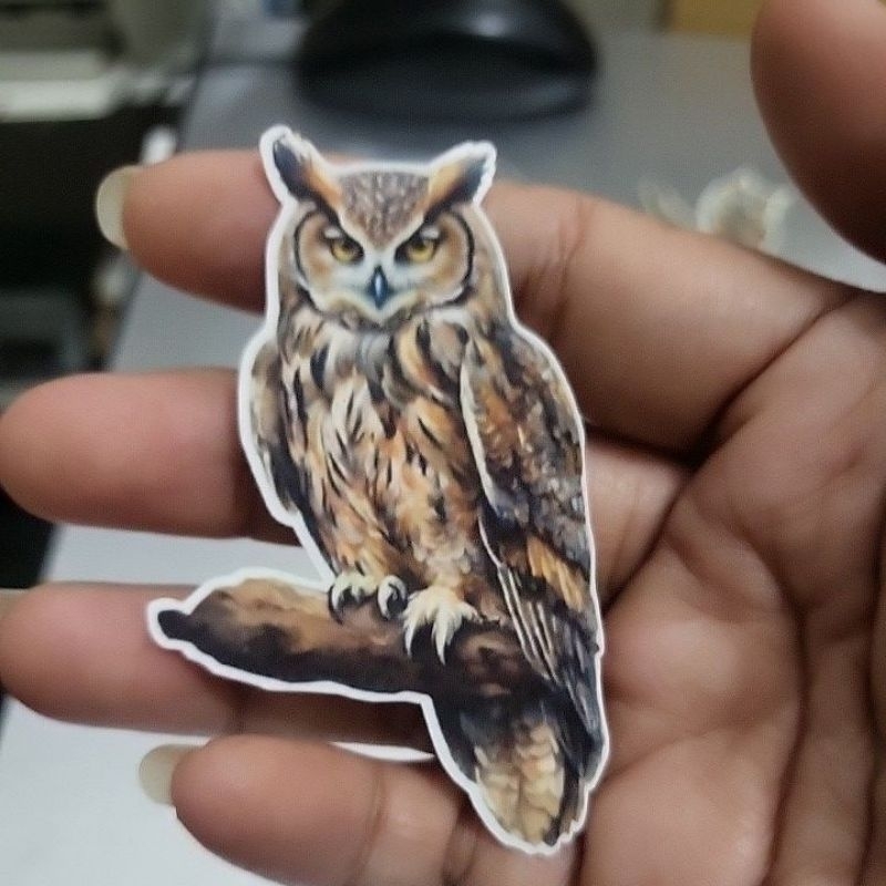 

12pcs Animal sticker edisi OWL