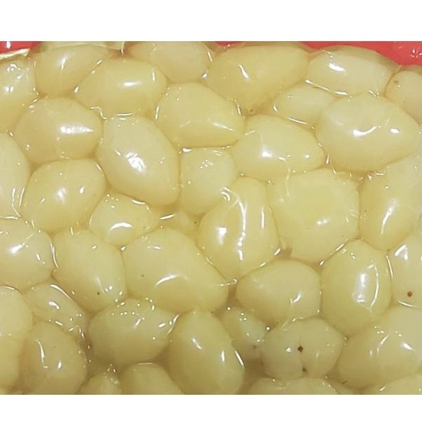 

YCXN5428 TERMURAH ginkgo biloba 25 gr gingko biloba kupas