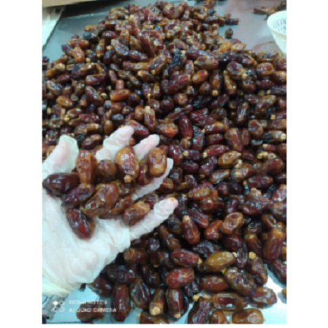 

Kurma Sayer 10kg