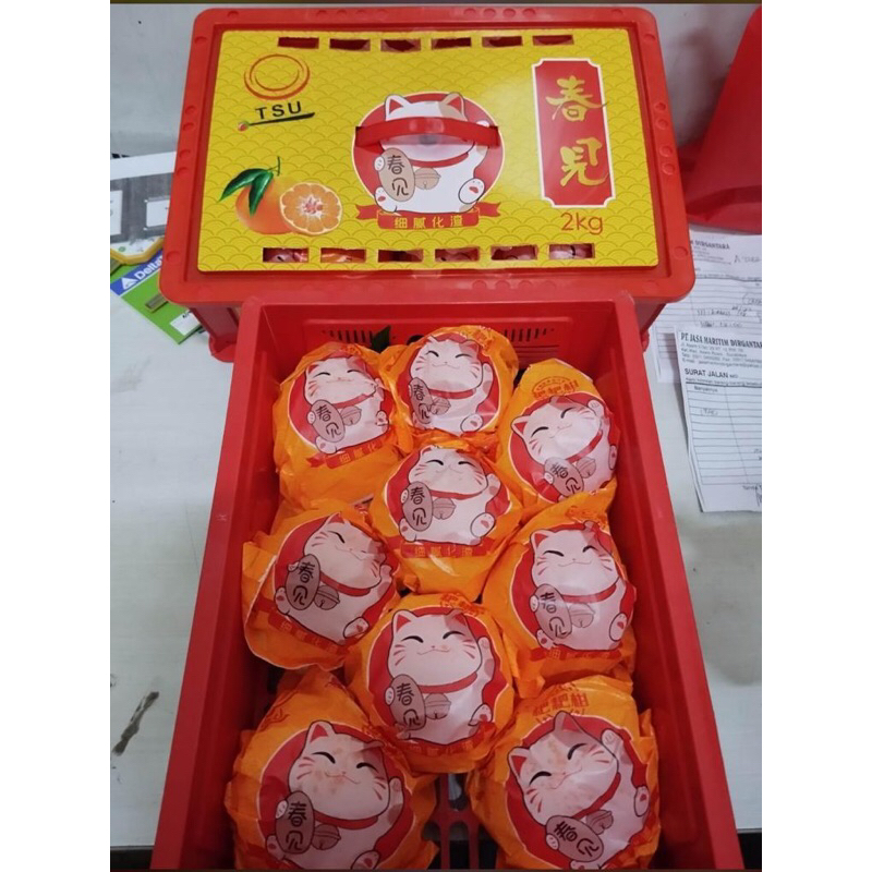 

Jeruk Papagan Kucing Berat 2kg /krat