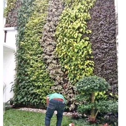 jasa tukang taman vertikal garden berpengalaman