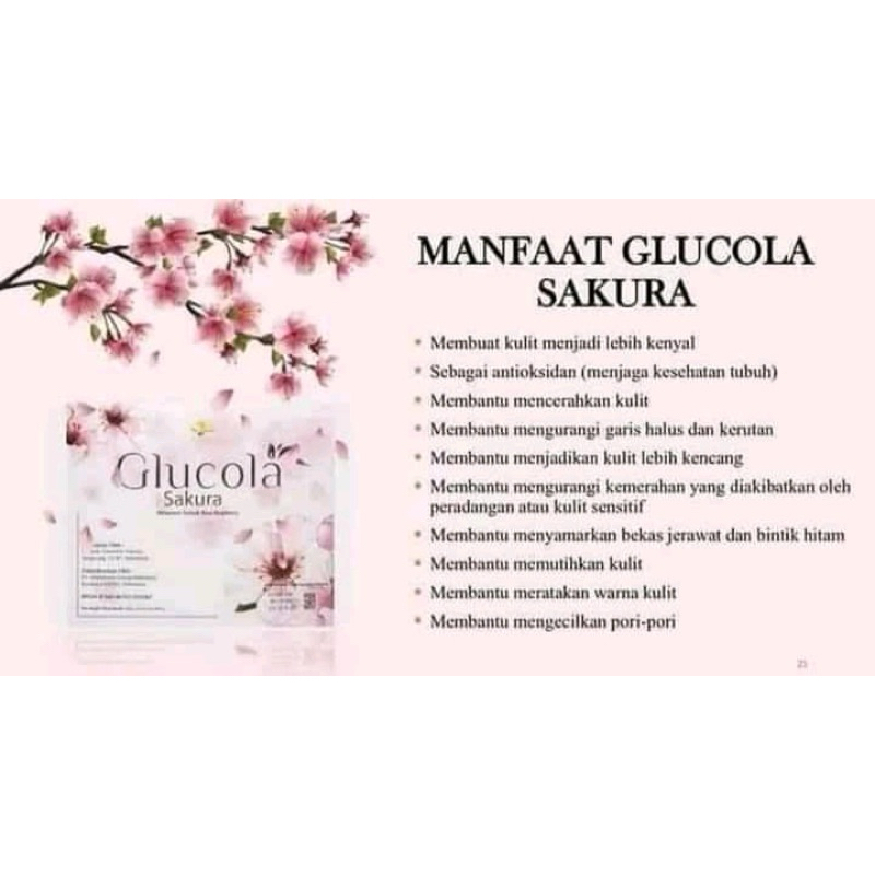 Glucola_sakura_MCI