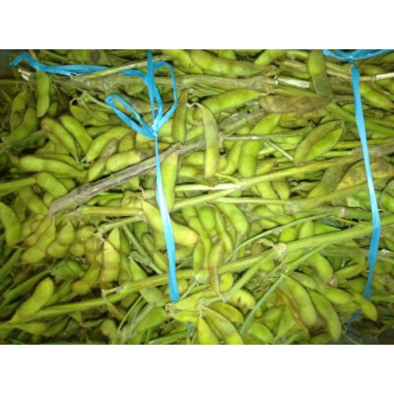 

SAYUR KEDELE DELE HIJAU ikat