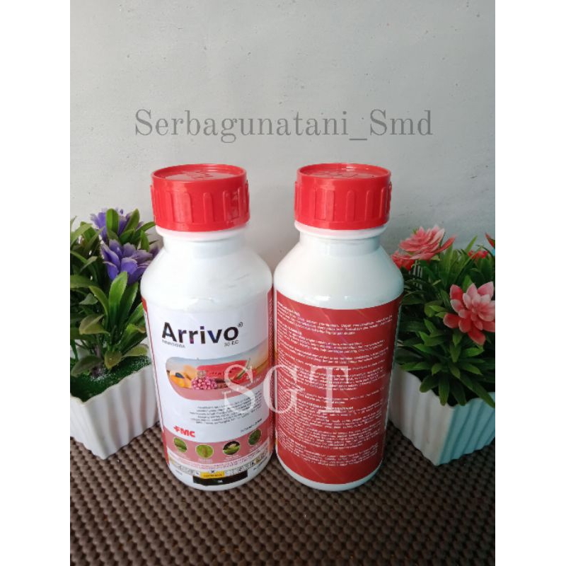 ARRIVO 30EC INSEKTISIDA 500ML