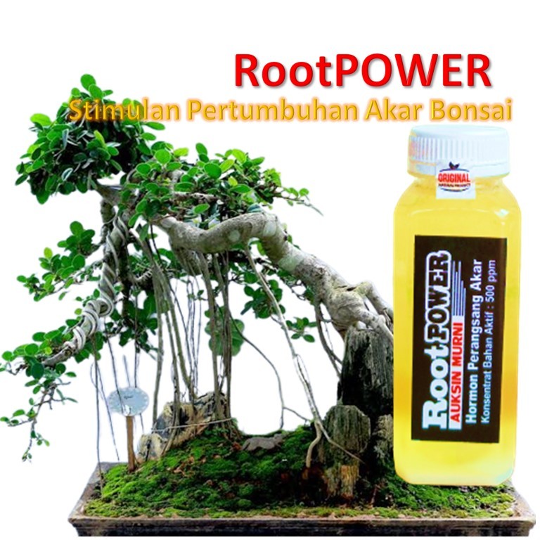 Penumbuh akar tanaman stek / obat perangsan akar setek / Penumbuh akar tanaman / Penumbuh bonsai