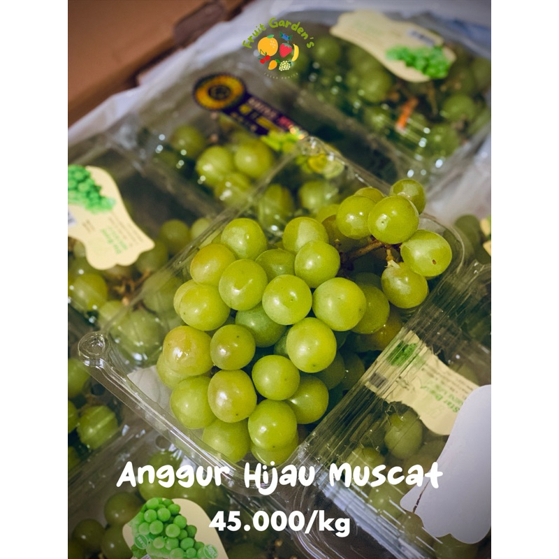 

Anggur Hijau Muscat (500gram)