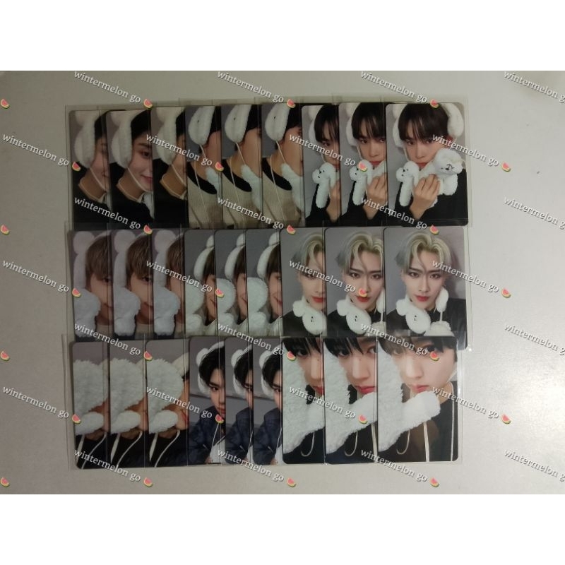 POB MAKESTAR ZB1 POLAR BEAR