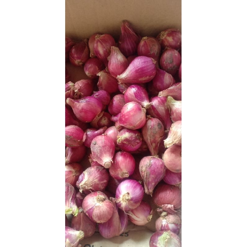 

BAWANG MERAH BREBES ukuran 500gr