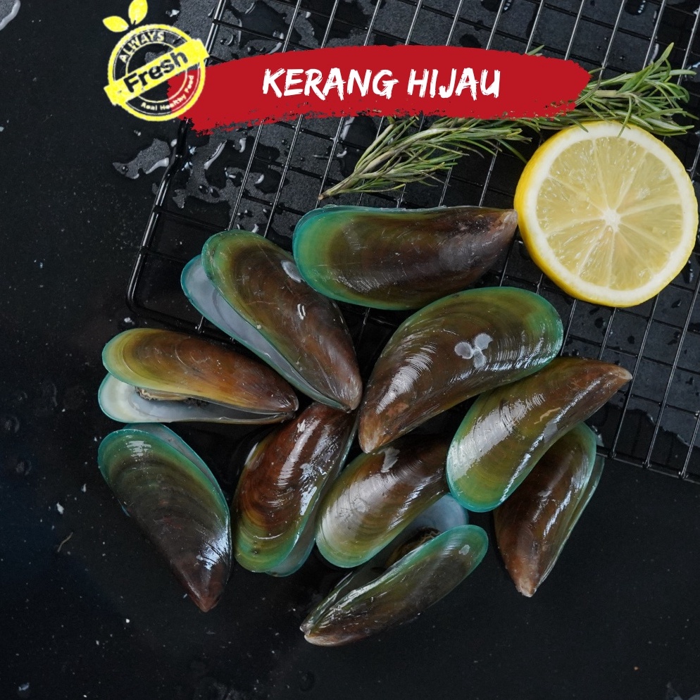 

XPRESS Kerang Hijau ijo fresh 1kg