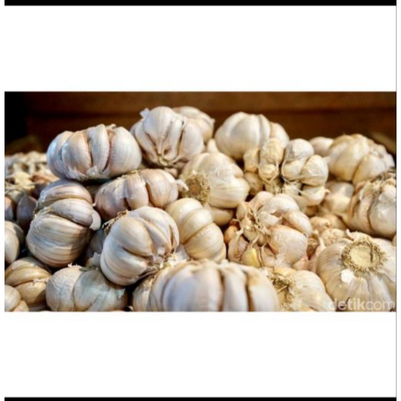 

bawang putih import 1kg