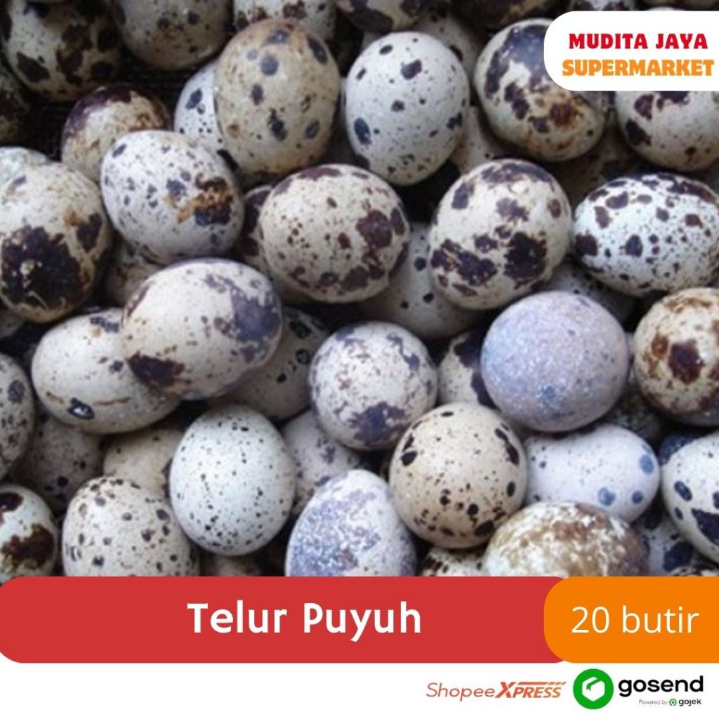 

Telur Puyuh Isi 20 Butir