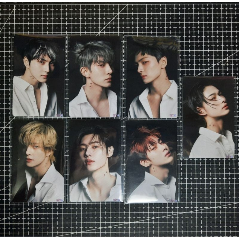 PC Jungwon, Heeseung, Jay, Sunghoon, Niki Enhypen Konsep Enver (Jungwon kokop, heeseung kokop, jay k