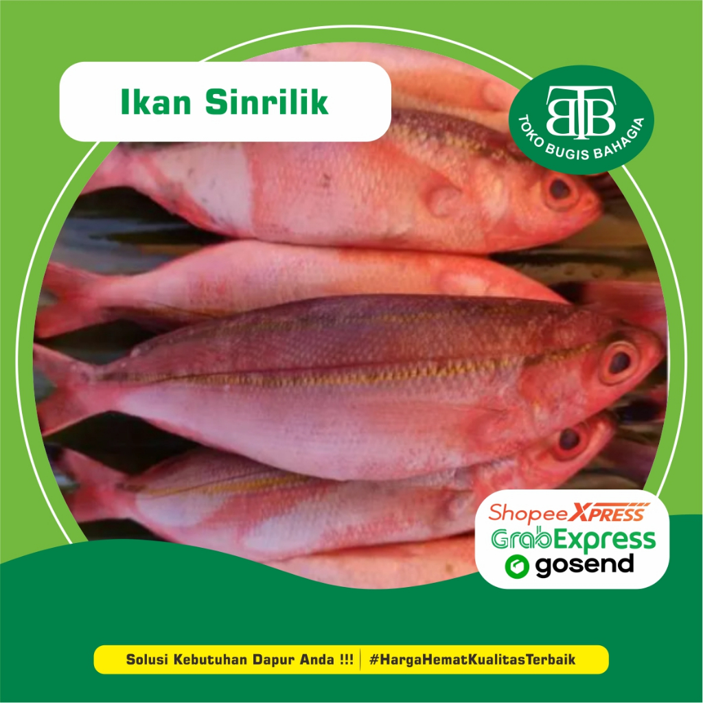 

Ikan Sinrilik, Murah Makassar
