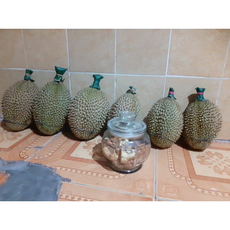 

Durian Lokal Premium Asli Wilayu Wonosobo Rasa Manis Legit Paten Matang Pohon