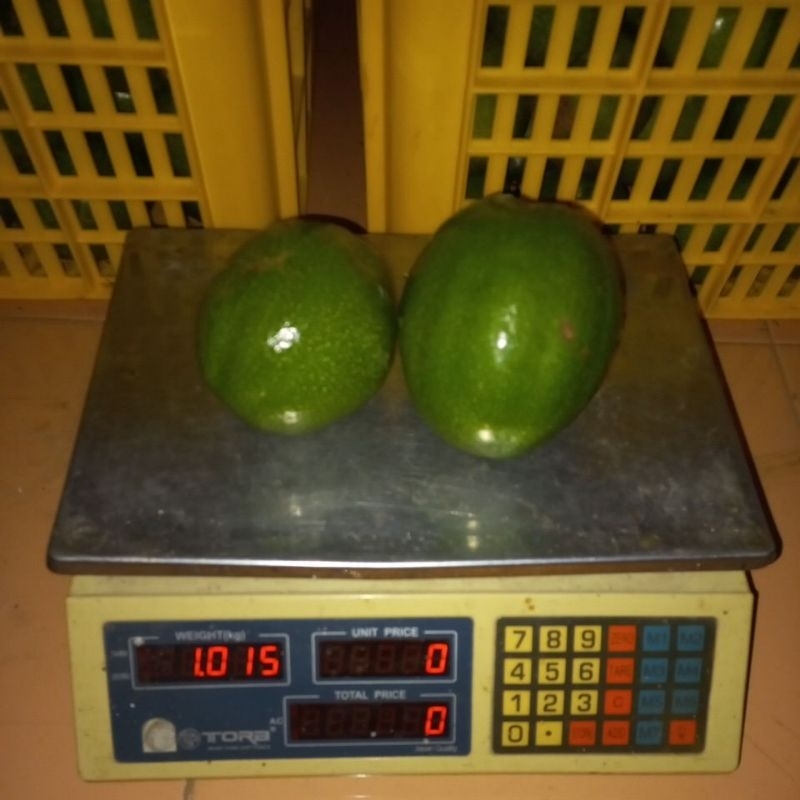 

alpukat mentega jumbo sekilo isi 2/3,, berat 1.3kg