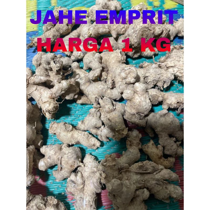 

JAHE EMPRIT HARGA 1KG