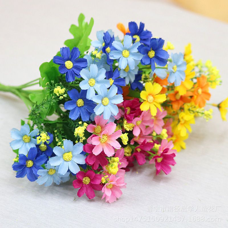 bunga daysi kecil buat hiasan buket