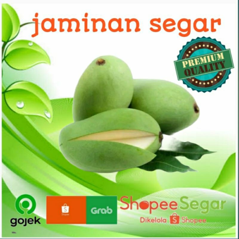 

MANGGA MUDA 500g