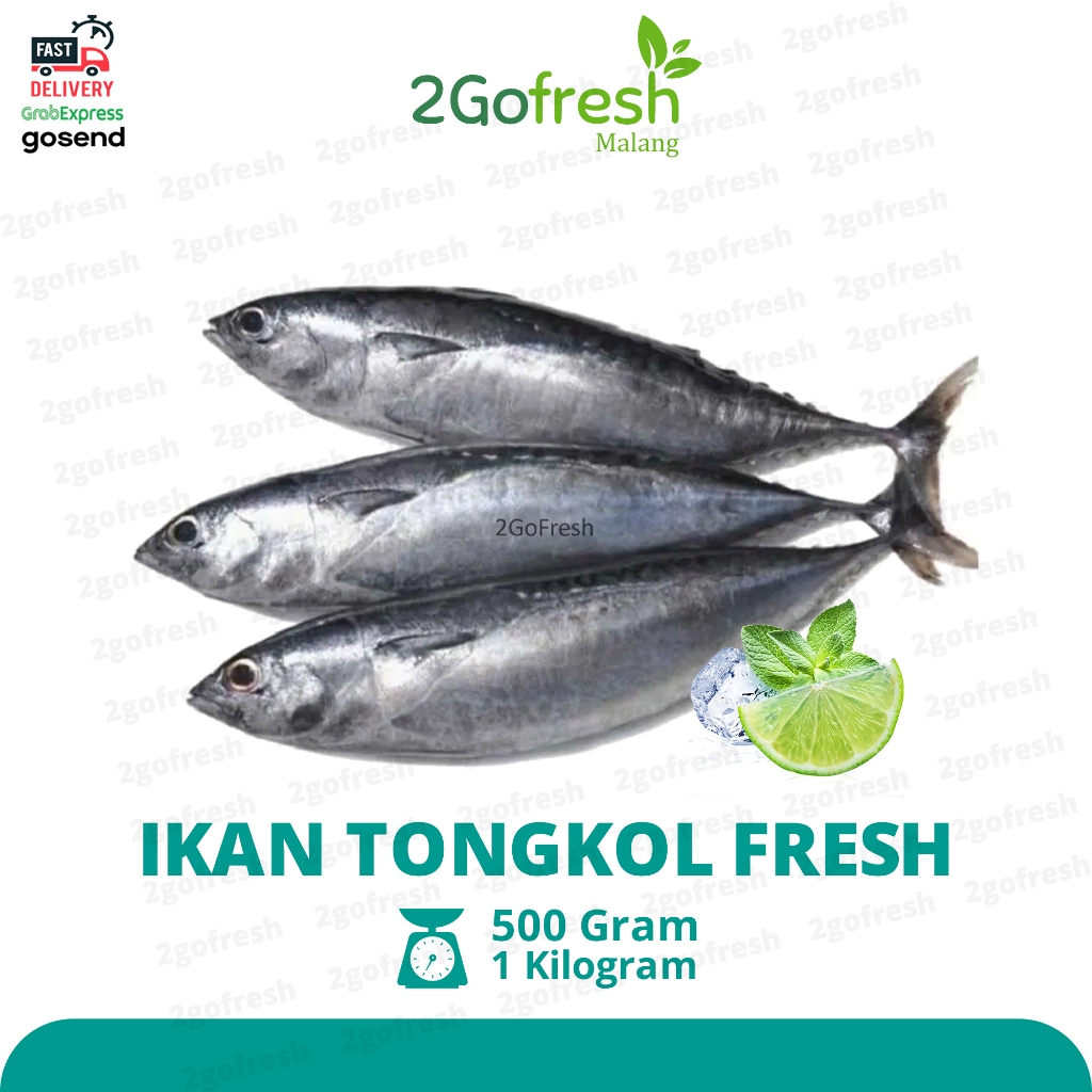 

Ikan Tongkol Segar Fresh ( Potongan ) - Sembako - Rempah Sayur Sayuran & Buah Buahan