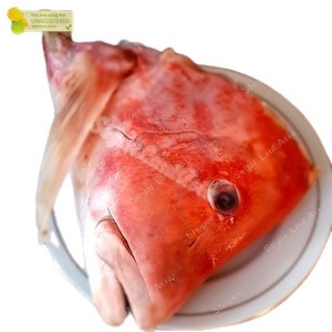 

Kepala Kakap Merah Segar 1Kg