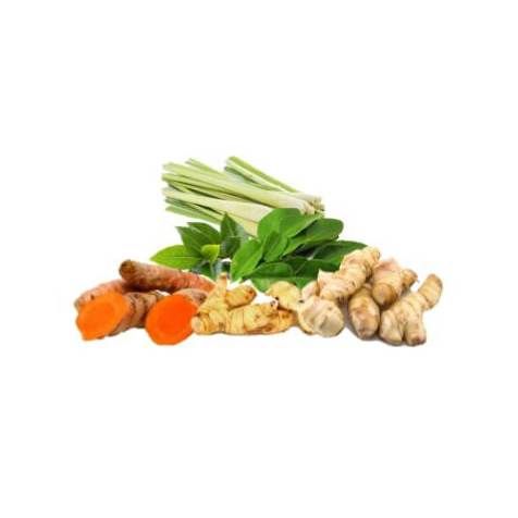 

KIRIM INSTAN ANEKA BUMBU DAPUR PON-PON