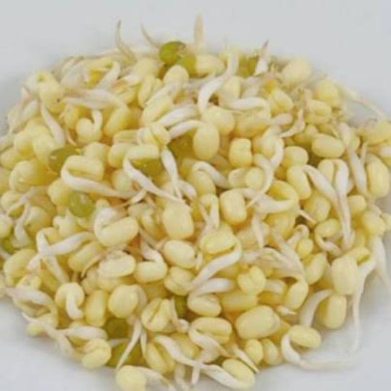 

Toge Rawon 1 Bungkus