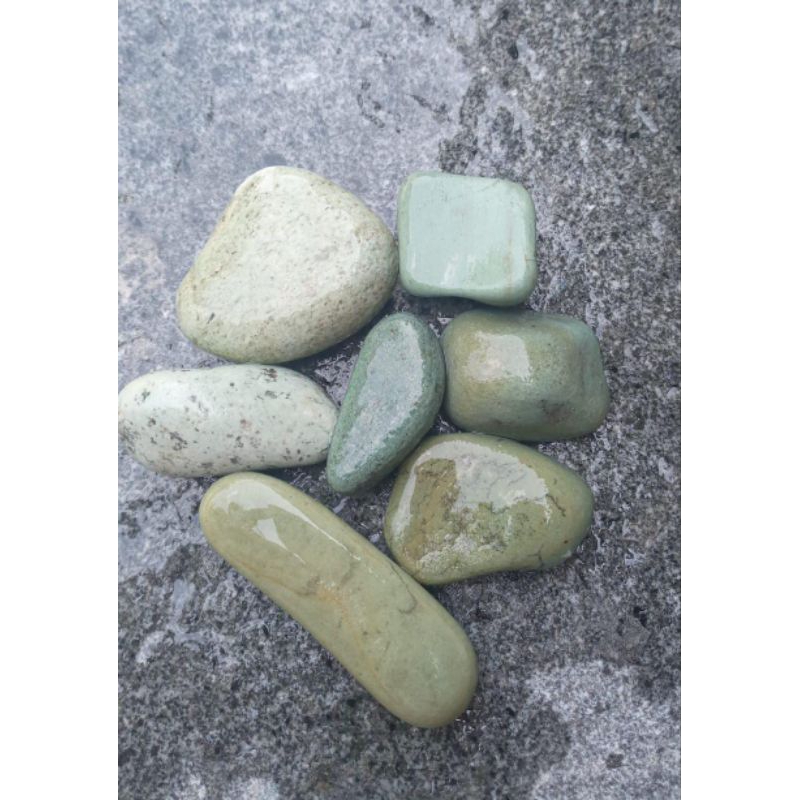 Batu koral hijau besar