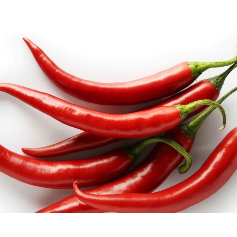 

cabai merah