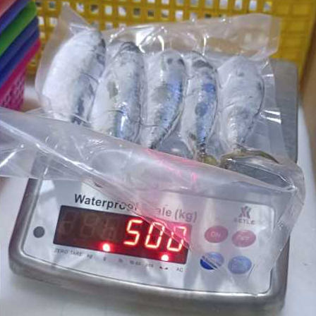 

Ikan Kembung Banjar Bersih Fresh Frozen Utuh 500 Gram (5-6 Ekor)