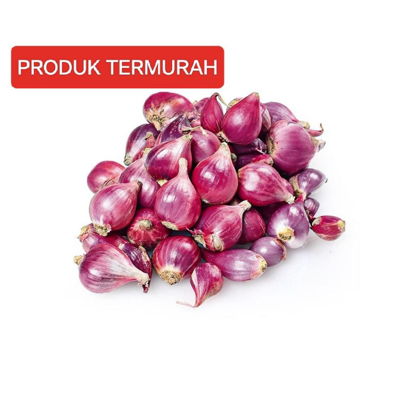 

BAWANG MERAH ASLI BREBES MURAH