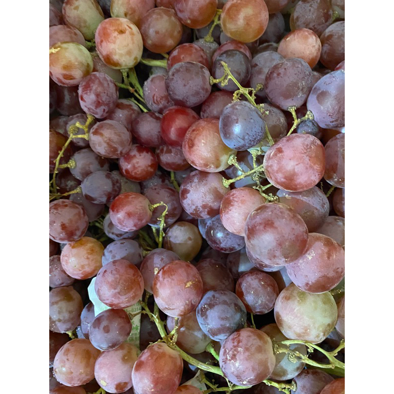 

Buah Anggur Red Globe 500gram