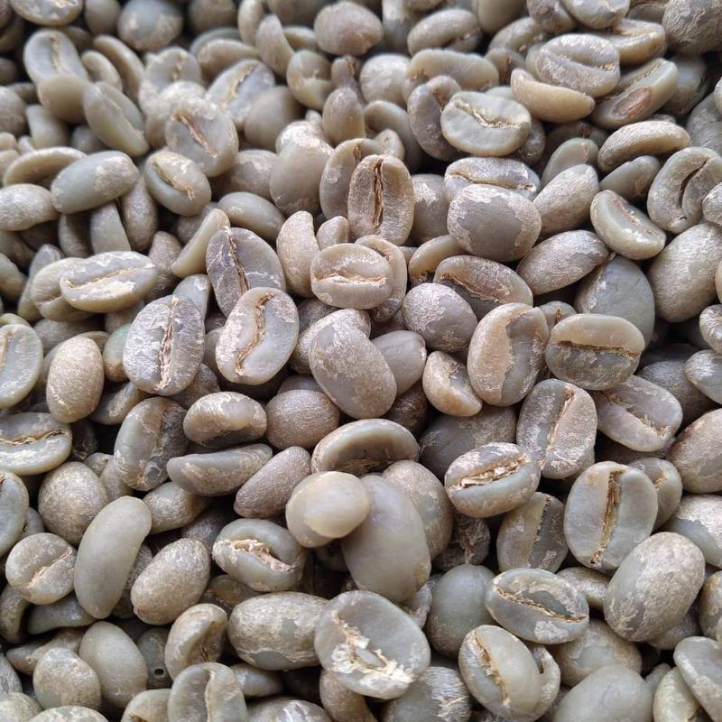 

ARABICA NATURAL GUNUNG PRAU