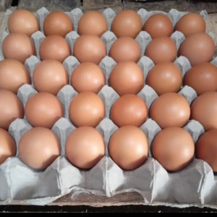 

telor ayam negeri 1 kg khusus gojek da grab