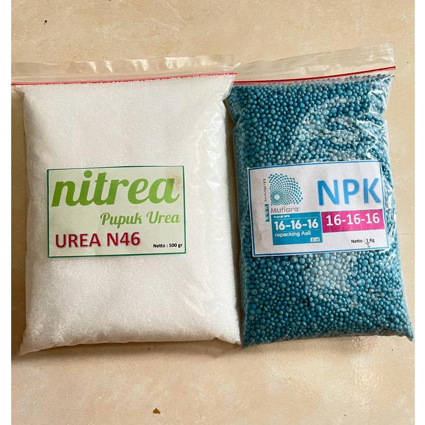 Bundling Urea Paket Bundling Pupuk Urea Nitrea Putih dan NPK 16 Mutiara Total 1 Kg Urea Nitrea Dan N