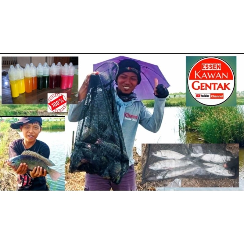 Esen Pengumpul Ikan  Mujair/Nila/Bandeng Kawan Gentak
