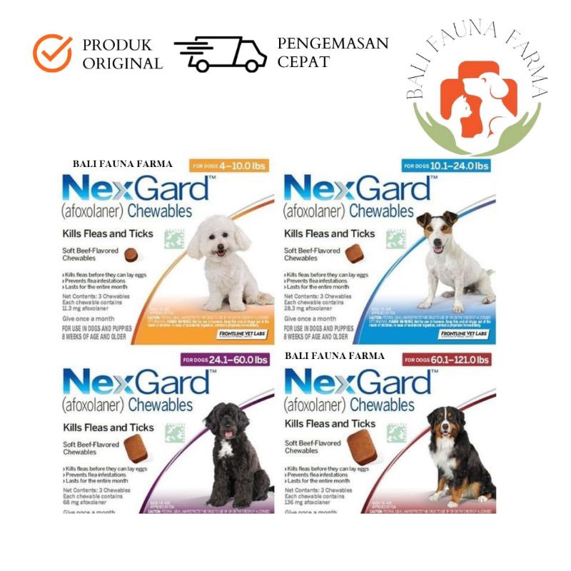 NexGard Obat Kutu Anjing