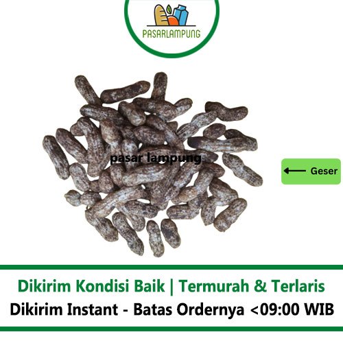 

Kacang Tanah Mentah Segar 1 Kg Pasar Lampung