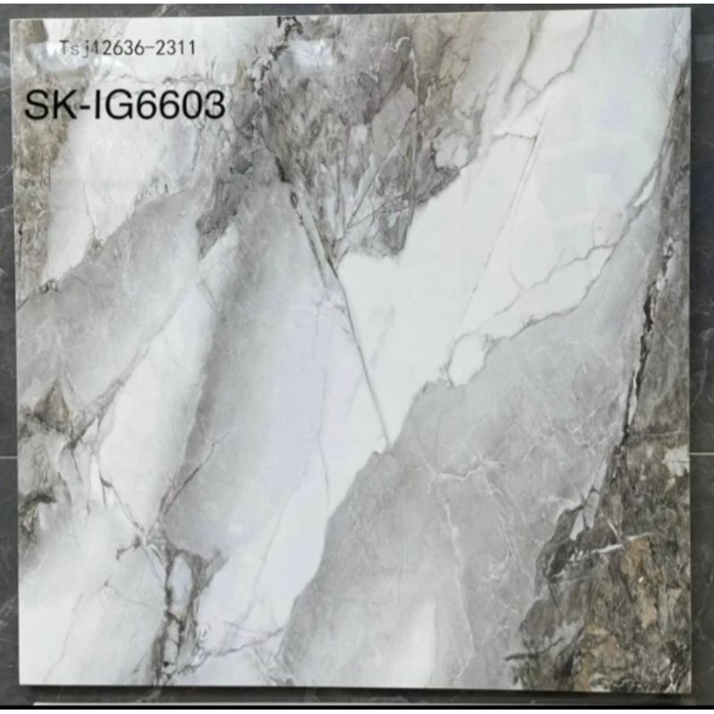 Granit Granit 60x60 Granit Ukuran 60x60 Igress Sk-IG 6603