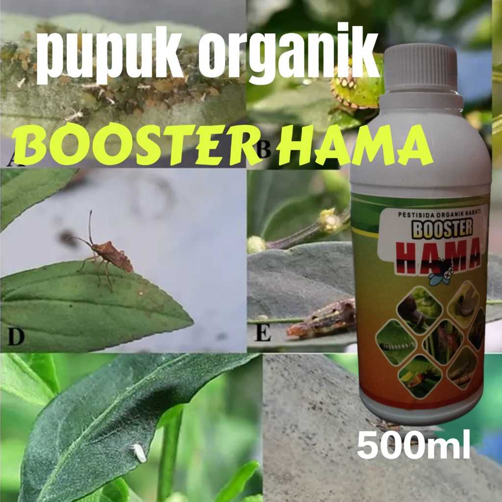 Pestisida organik nabati booster hama
