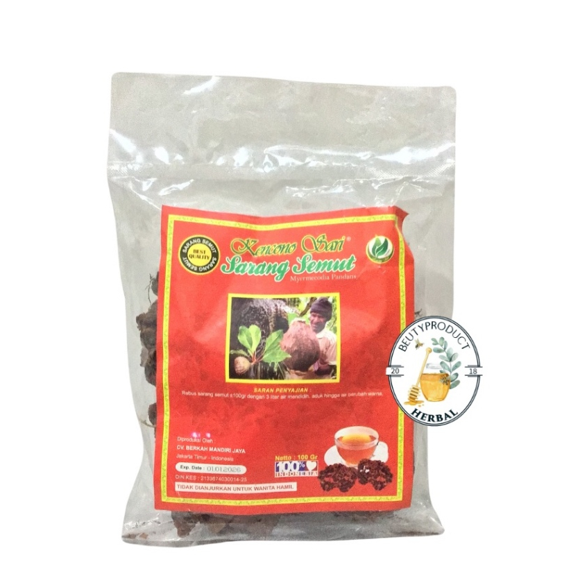 

SARANG SEMUT AUR KENCONO SARI,sarang semut