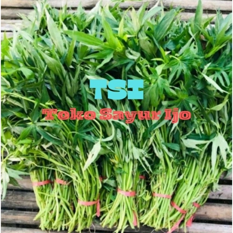 

Sayur Daun Ketela - Kirim Instan